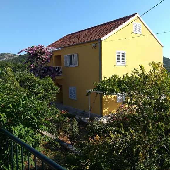 Apartmani Jelić - Banići (apartmani/apartments)